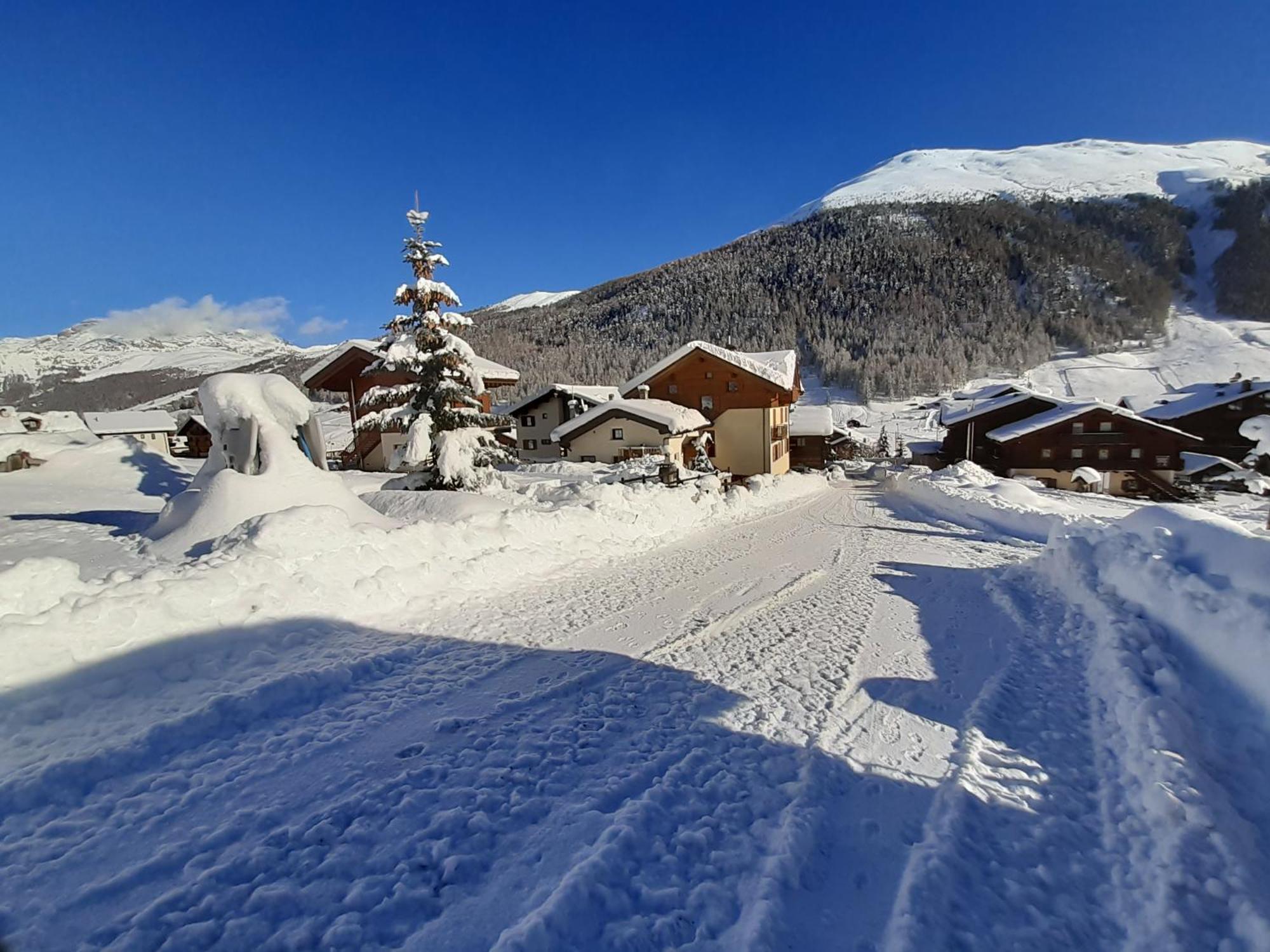 Sever Appartamento Livigno